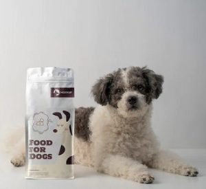 dog-dry-food