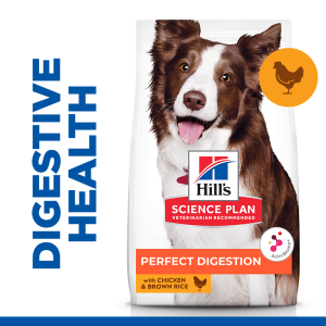 SP_Perfect-Digestion_Thumbs-dog_v22-Bag-Front-PLP-Medium-1